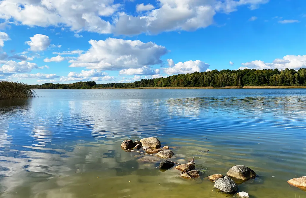 noclegi AlohaCamp Całoroczny Domek na Kaszubach 1