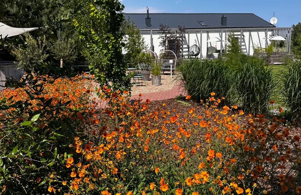 Domki Władysławowo 🌊 Botanica 2