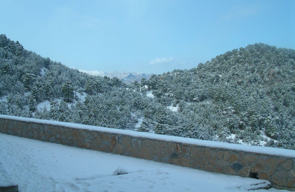 AlohaCamp La Casa de la Luz 1