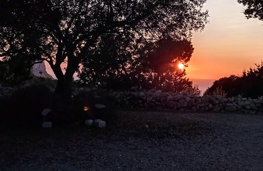 Imagen de Sa Vinya Casa de Campo