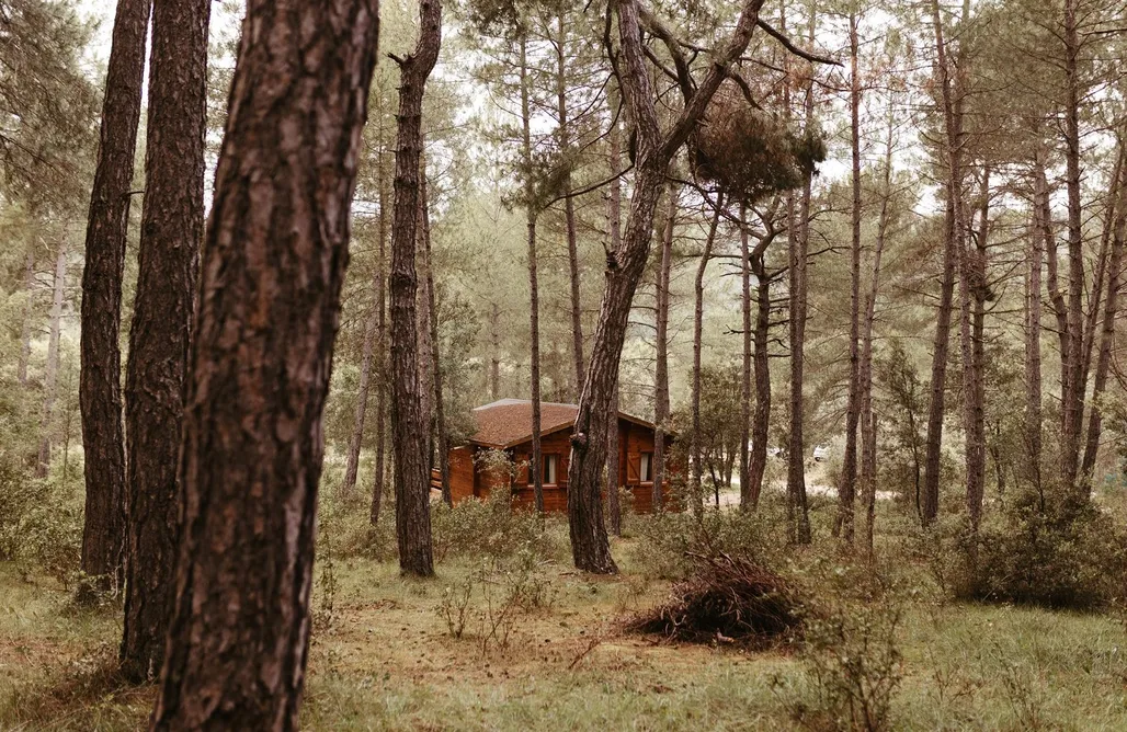 Bungalows Valencia Cabañas en Cuenca 1