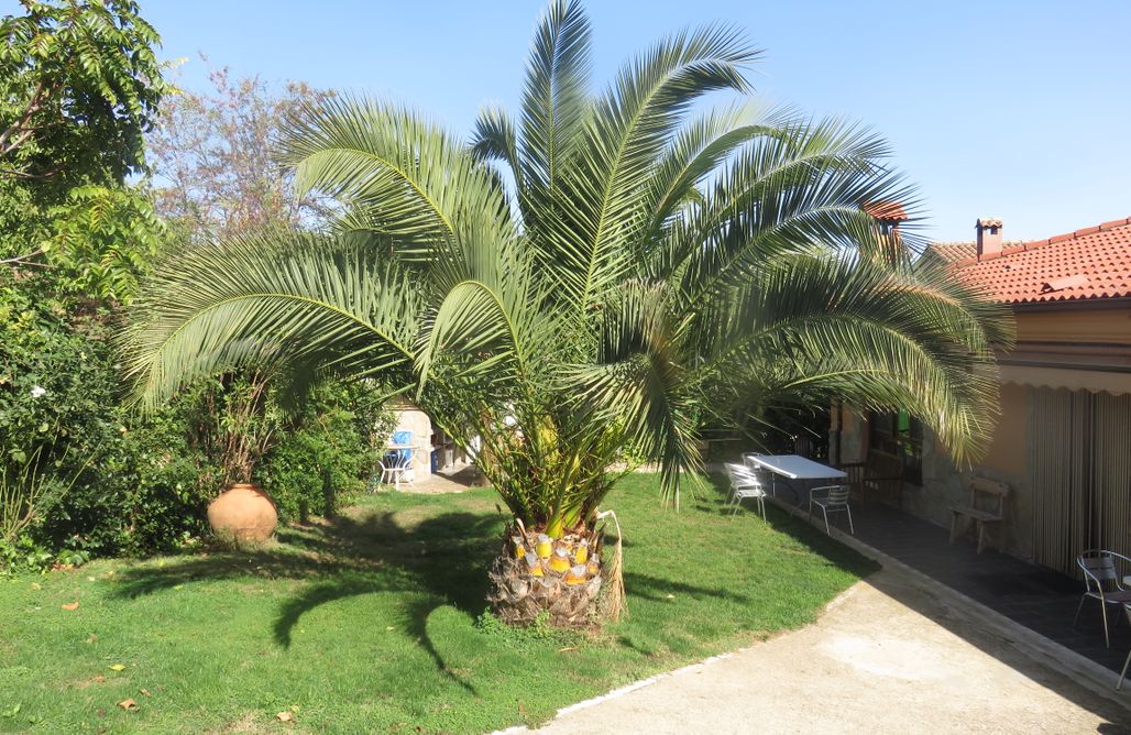 AlohaCamp Casas Rurales Arroal - Casa 2 1