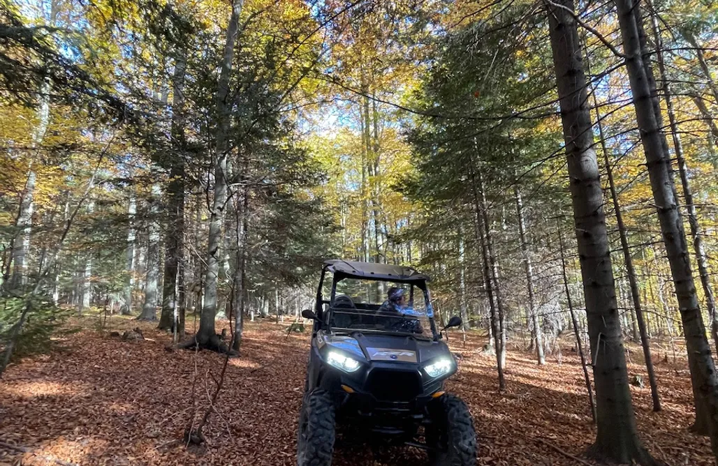 AlohaCamp Namiot 1 1