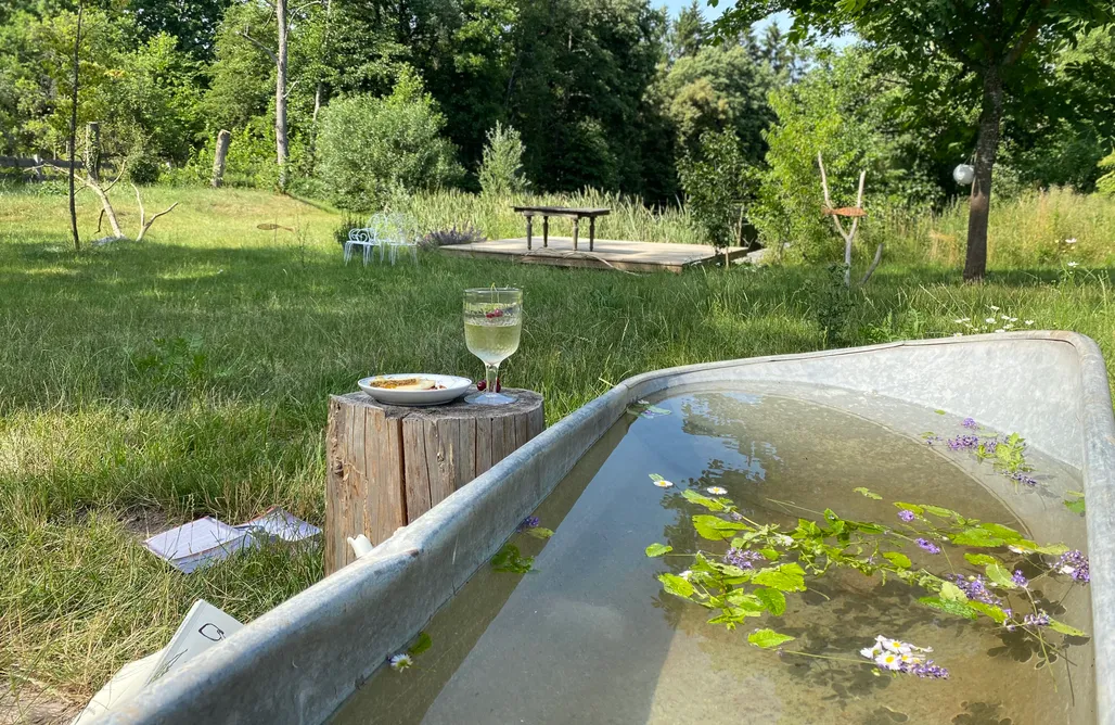 Noclegi przy Plaży z Widokiem na Morze dALL. Dzicz. Staw. Dzikie konie. 1