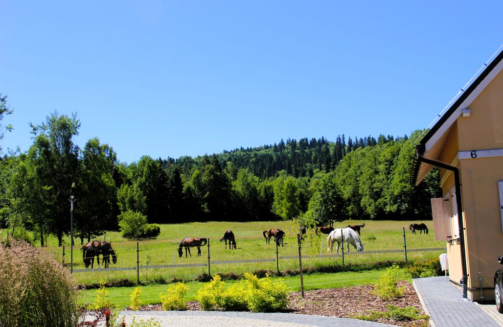 Domki Country Club 7-osobowe AlohaCamp
