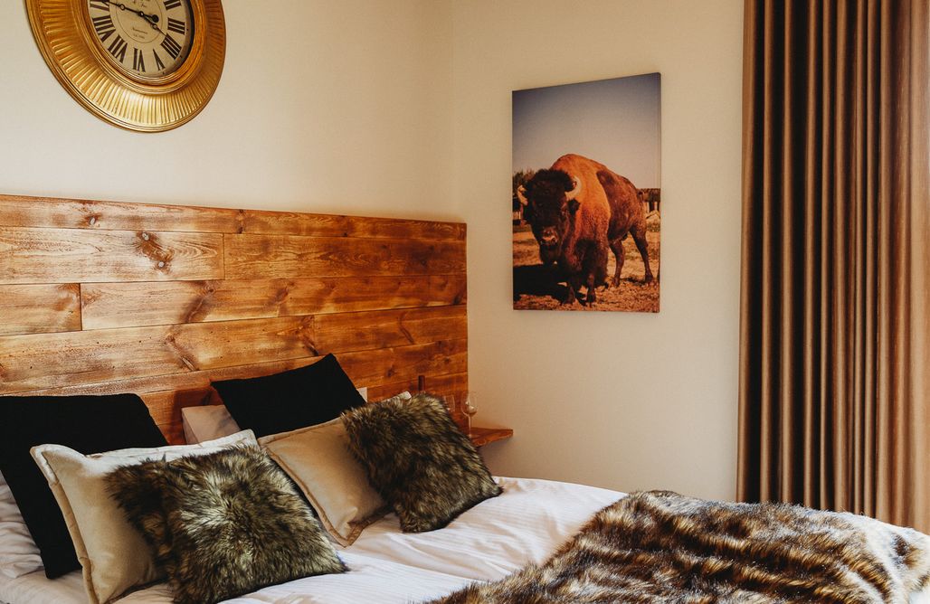 AlohaCamp DOMEK BIZON  2