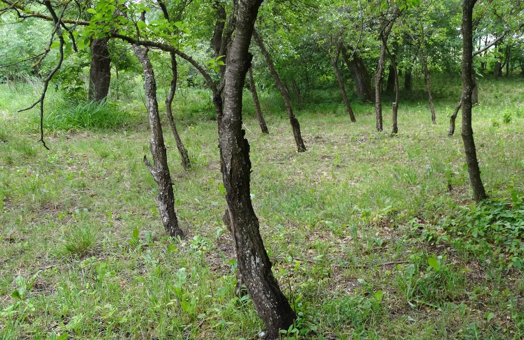 noclegi AlohaCamp Pokoje- Dom na Mazurach Pilec 1