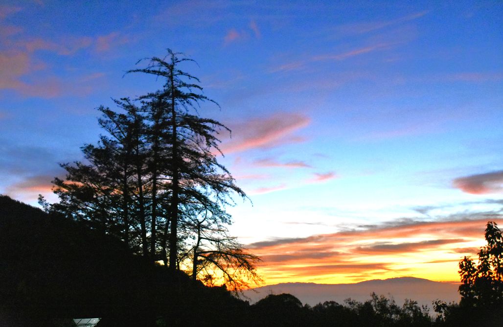 AlohaCamp Casa Rural La Gustoza 1