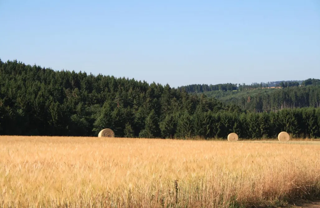 Unterkunft AlohaCamp Haus Wildvogel 4