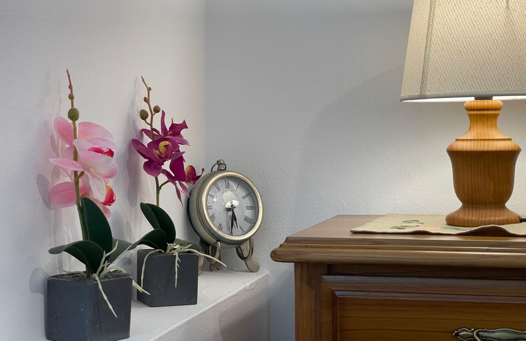 AlohaCamp Casa Albina 4