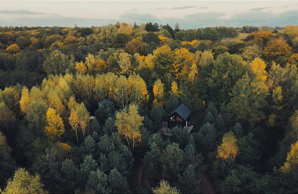 Location Chalet Bosco Tu - granges noires au-dessus du ravin | Sauna & Réinitialisation Forestière à Kalwa 1