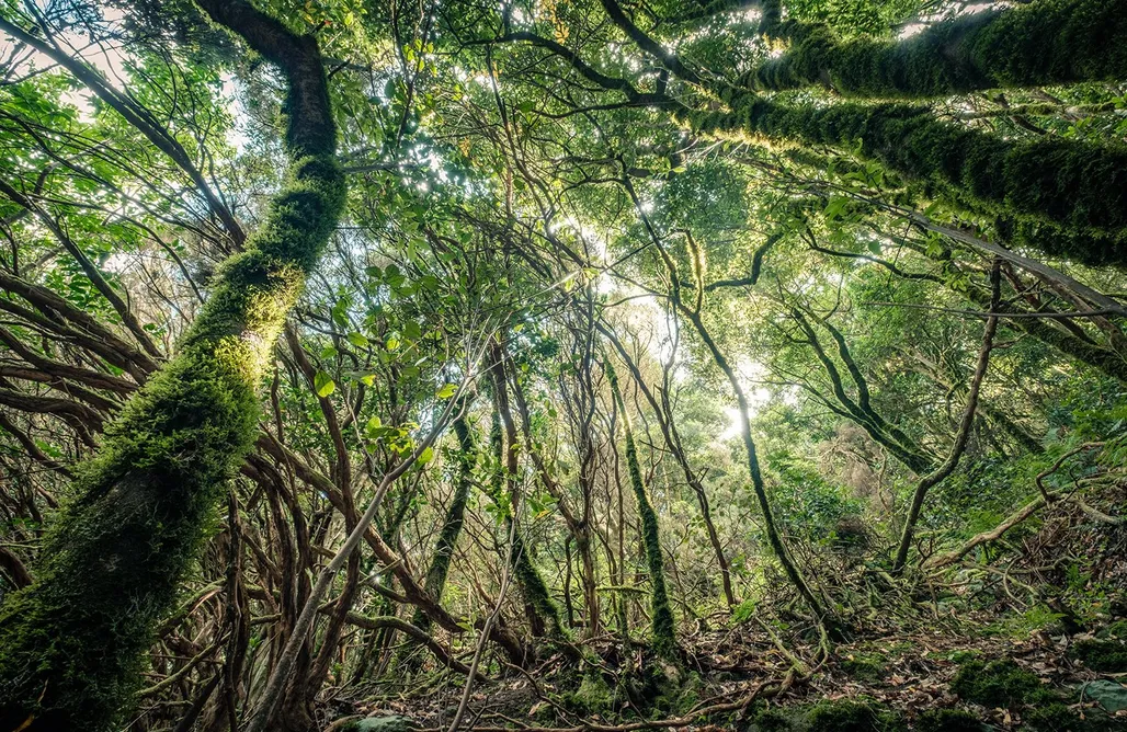 AlohaCamp accommodation Villa Soleada 1