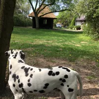 Agnieszka gospodarz Siedlisko Jagny 
