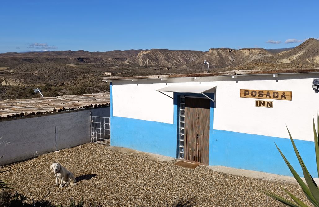 AlohaCamp HABITACIÓN INDIVIDUAL 1