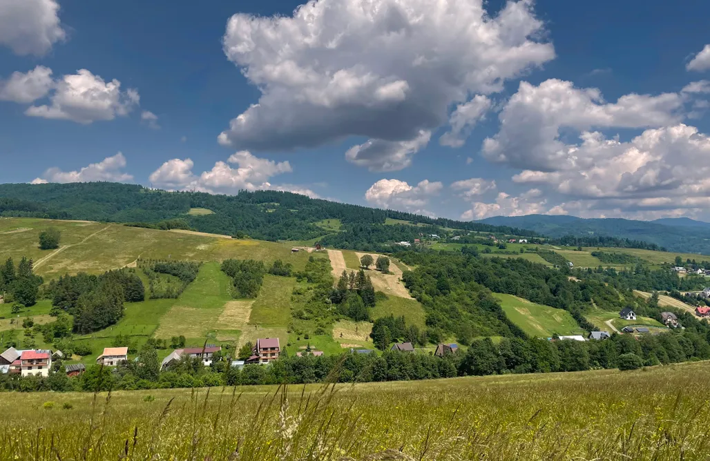 noclegi AlohaCamp Przystanek Przylasek 4