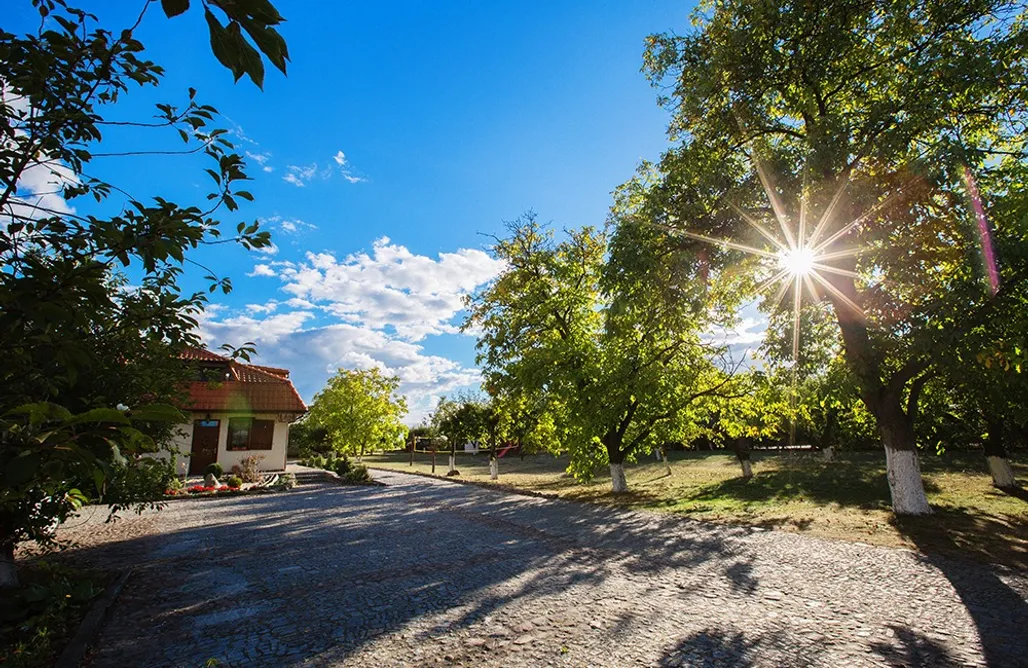 noclegi AlohaCamp Miejsce kamperowe - Gryszczeniówka 2