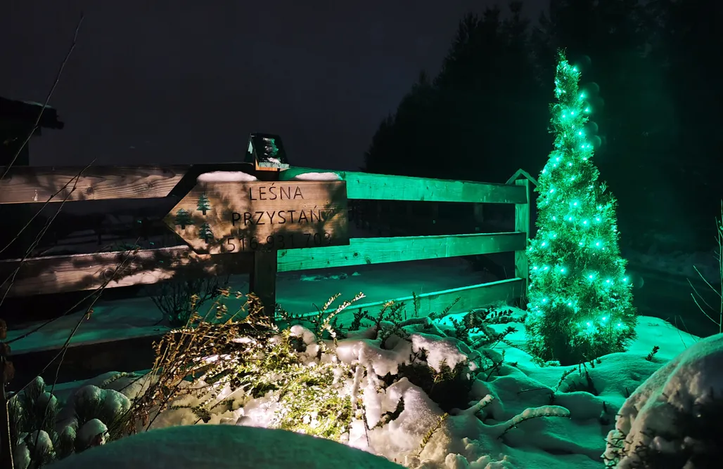 noclegi AlohaCamp Leśna Przystań domki całoroczne 1