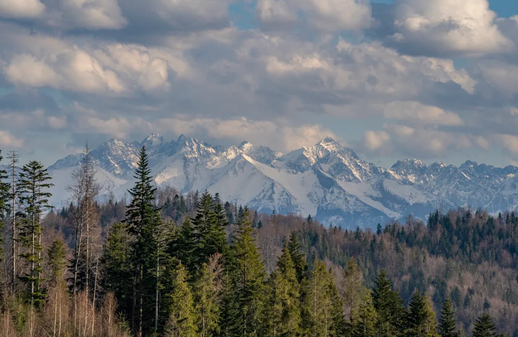 AlohaCamp Inspired by Nature  1