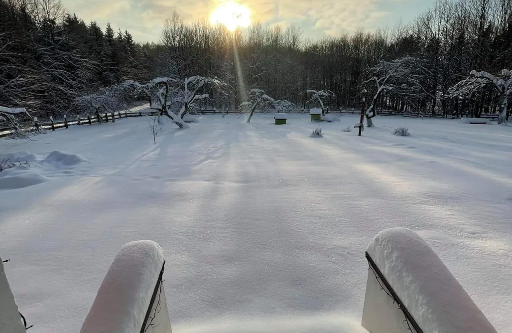 AlohaCamp Dom Gajówka 1