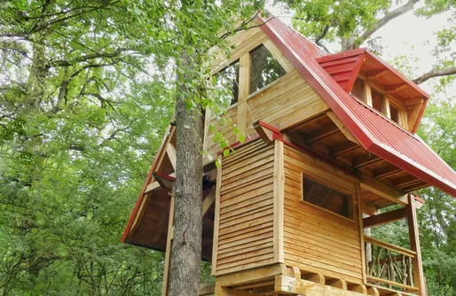 Imagen de Suites en los árboles