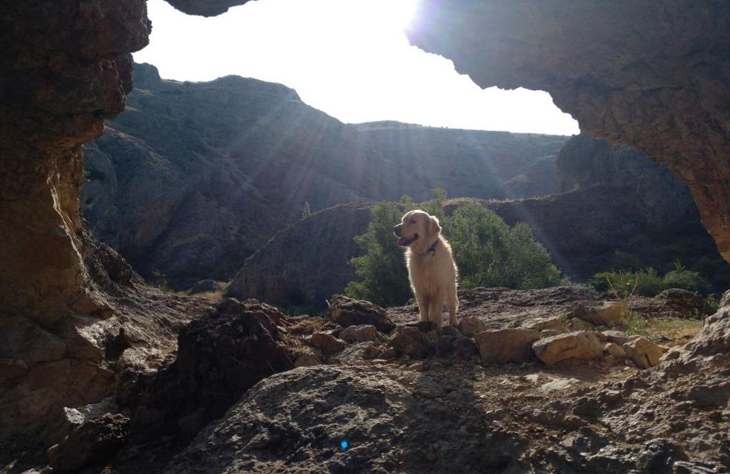 Alloggi AlohaCamp El Nido de Mirlo 1