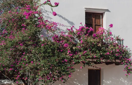 Imagen de Agroturismo Can Pere Sord