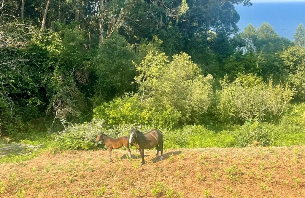 Cave House Spain Tiny house with sunset over the ocean 1