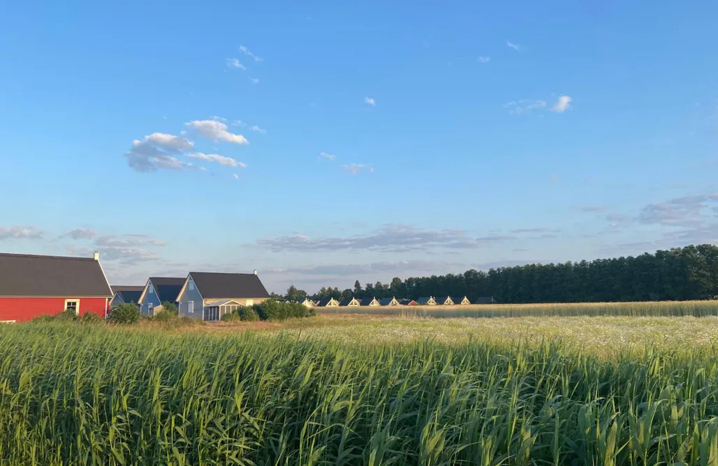 Domki nad Jeziorem Lubuskie All Inkl Ferienhaus mit Hafenblick&Beach 3