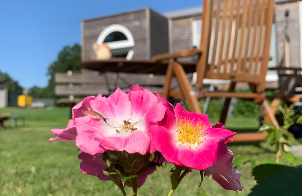 Kurzurlaub Schleswig-Holstein Tinyhouse Zirkuswagen auf Rädern 3