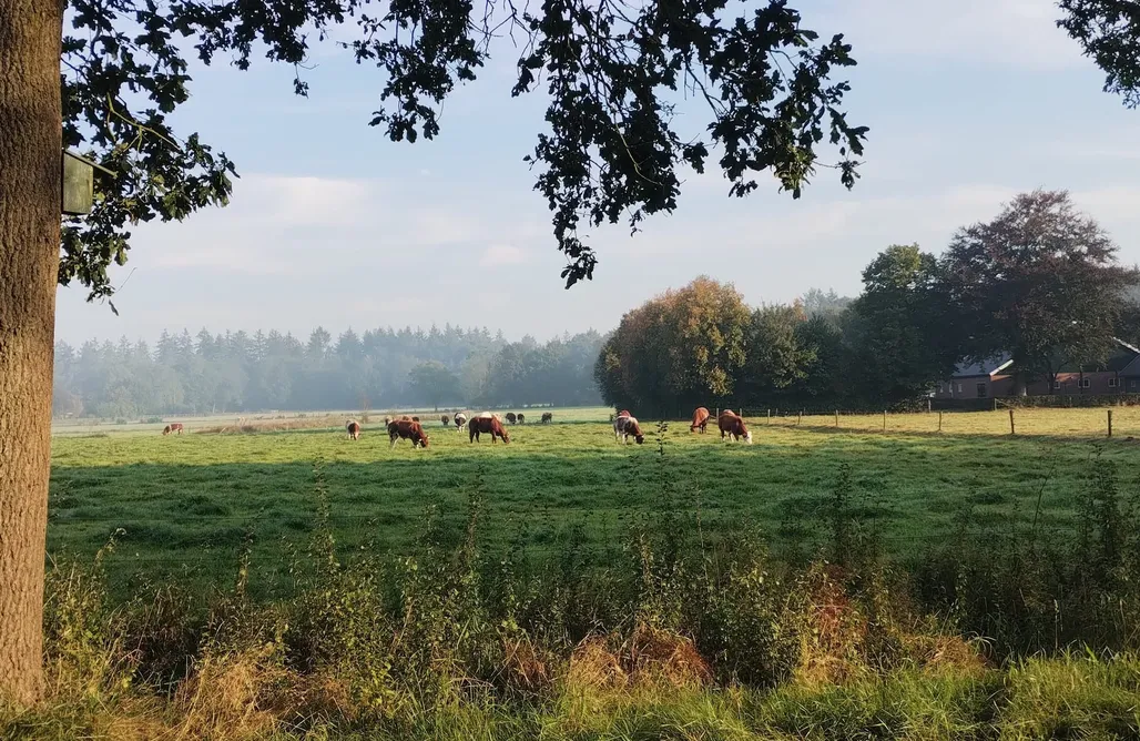 Hébergement AlohaCamp Maison dans la nature Le Petit Chasseur 1