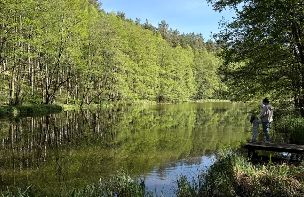 Bory Tucholskie Domek Domek Wśród Wód 3