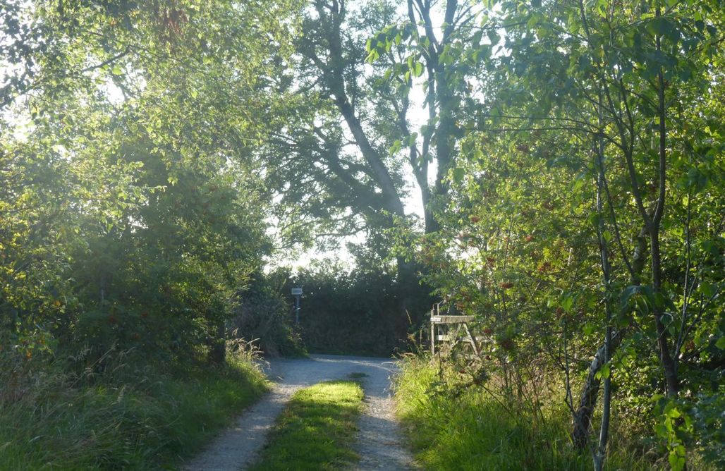 Ffynnonwen Eco Glamping AlohaCamp