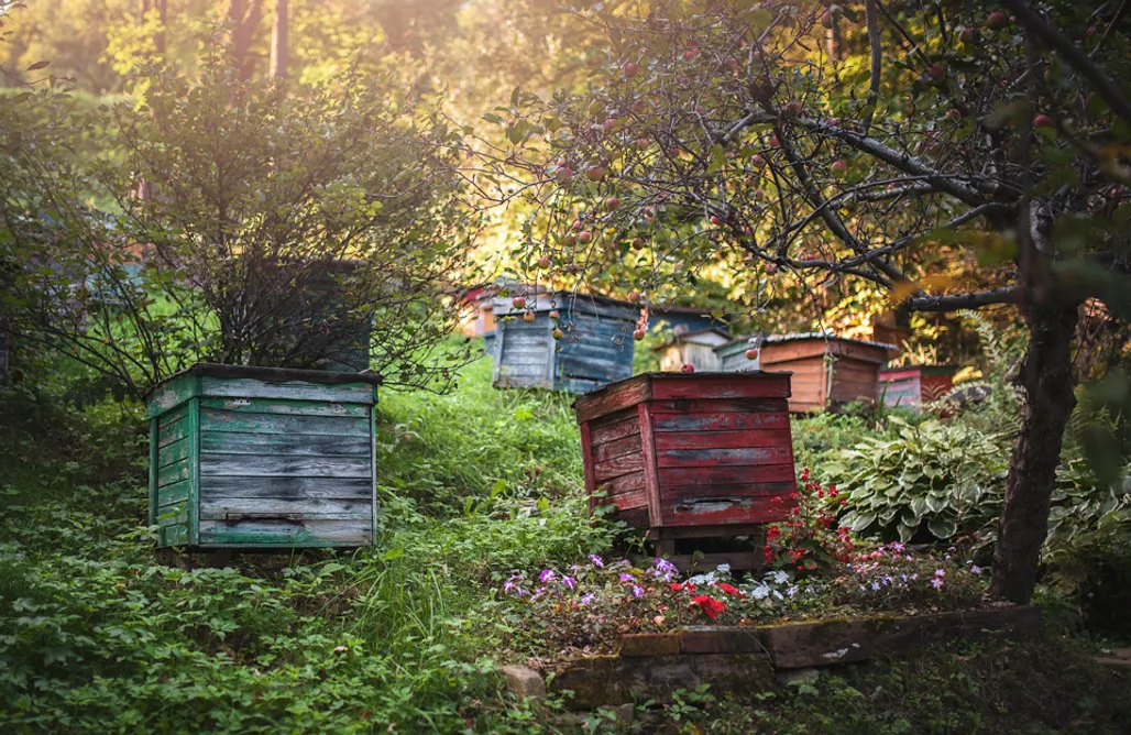 Weekend Dla Dwojga Beskidy Pasieka Dom Wypoczynkowy 3