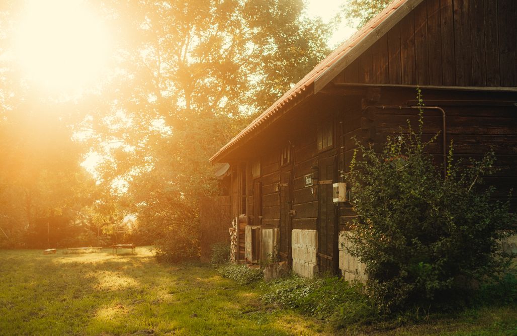 AlohaCamp Siedlisko Jabzówka 1