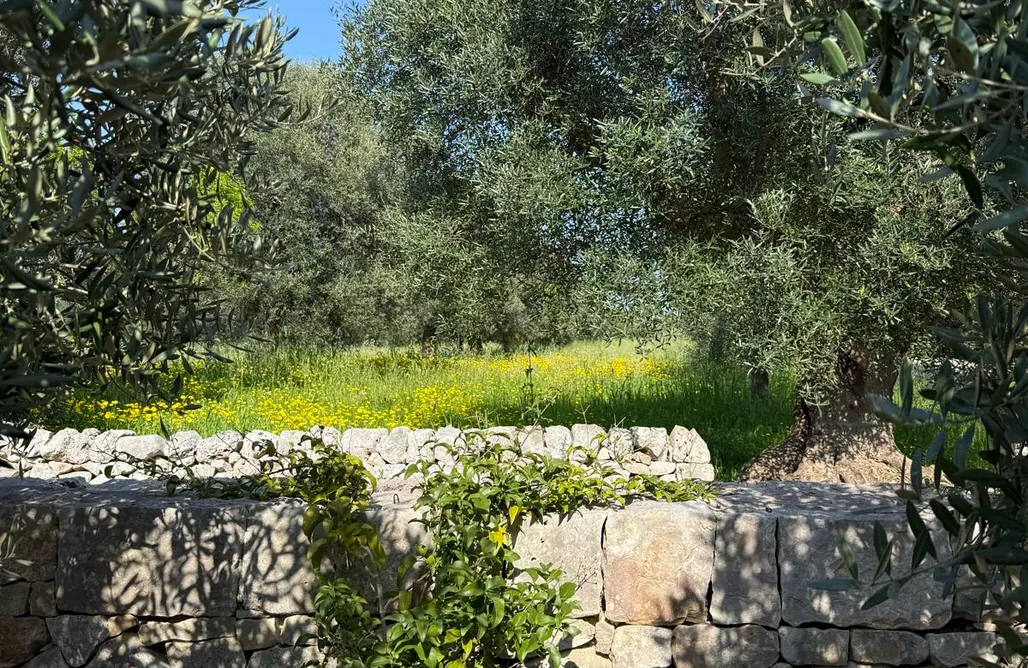 Agriturismo Abruzzo Dimora LA VESTALE - Masseria-Trulli Genius Loci Dimore - 1