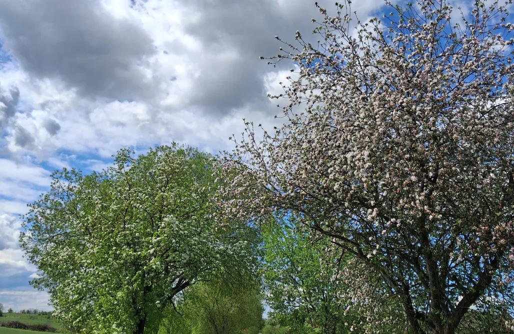 AlohaCamp Podróżynka agroturystyka 1