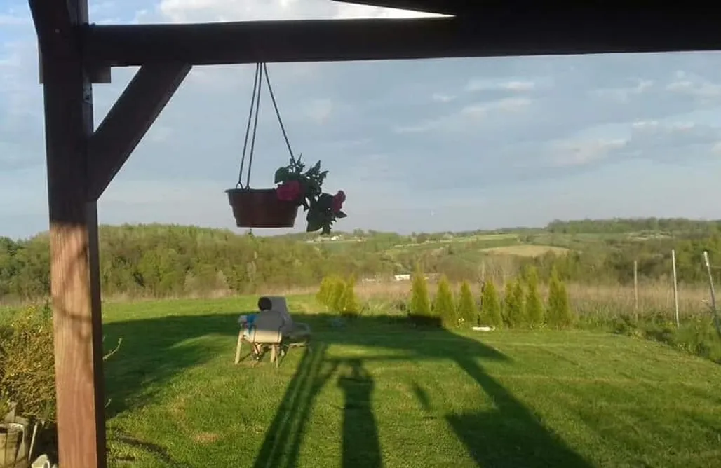 Pole namiotowe Sosnowiec Miejsce kamperowe - Winnica Wieczorków 2