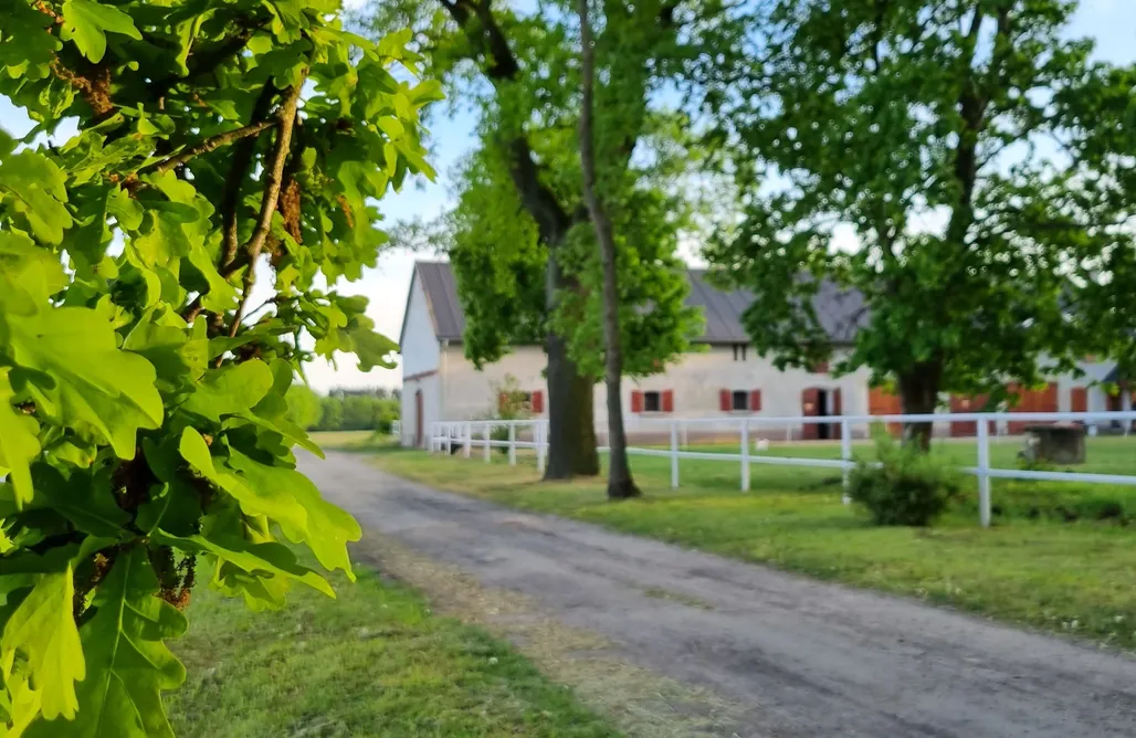 Śląskie Agroturystyka pod Jeleniem 3