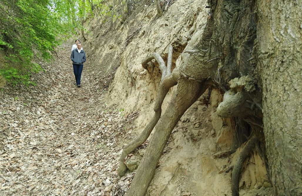 AlohaCamp Lawendowy domek 1