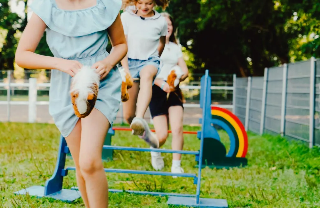 Ferienhaus mit Sauna Natursee-Chalet, Angeln, Wellness, Spa, Ponyhof 1