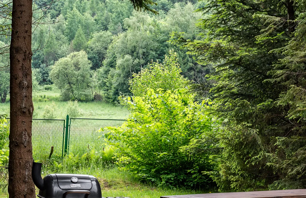ubytování AlohaCamp Ukryta Leśna Sielanka z jacuzzi 5