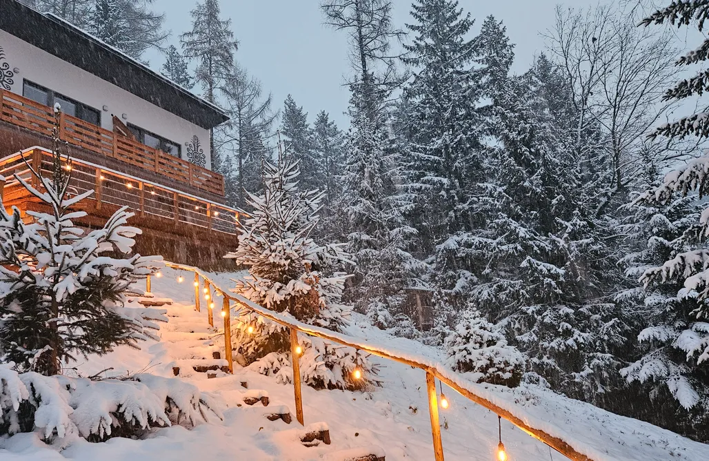 Aleksandria nad Olzą  AlohaCamp