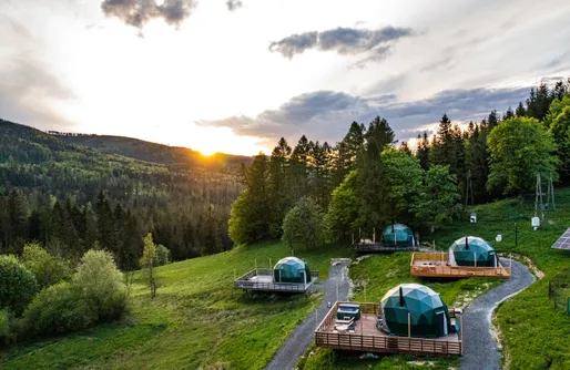 Zdjęcie obiektu Bunny Glamp