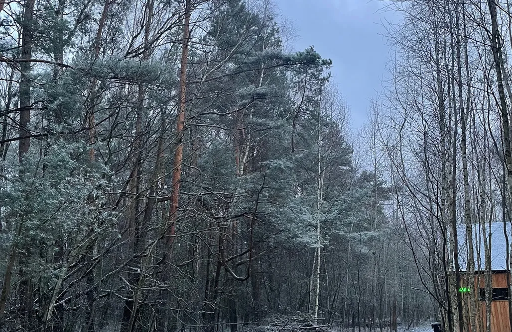 noclegi AlohaCamp Tuli LAS 4