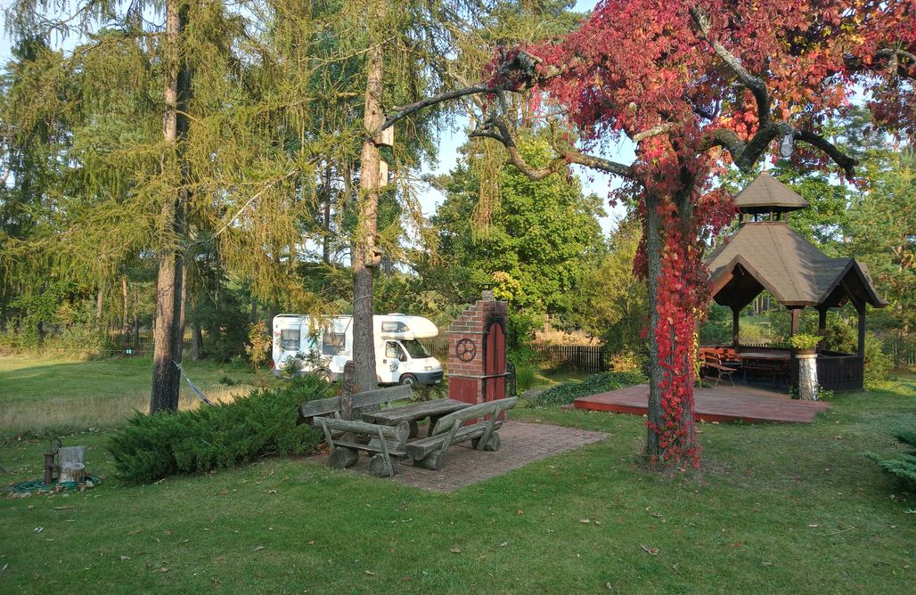 AlohaCamp Chata w lesie - Miejsce dla kamperów, przyczep lub pod namiot 1 3