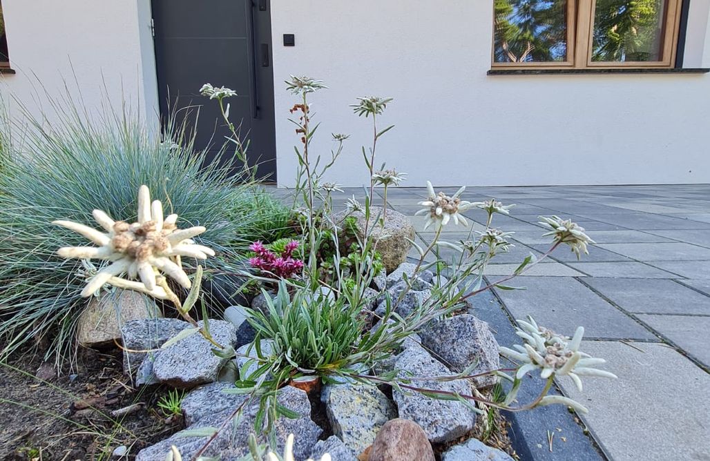 AlohaCamp La casa de los Kasa apartament 1 1