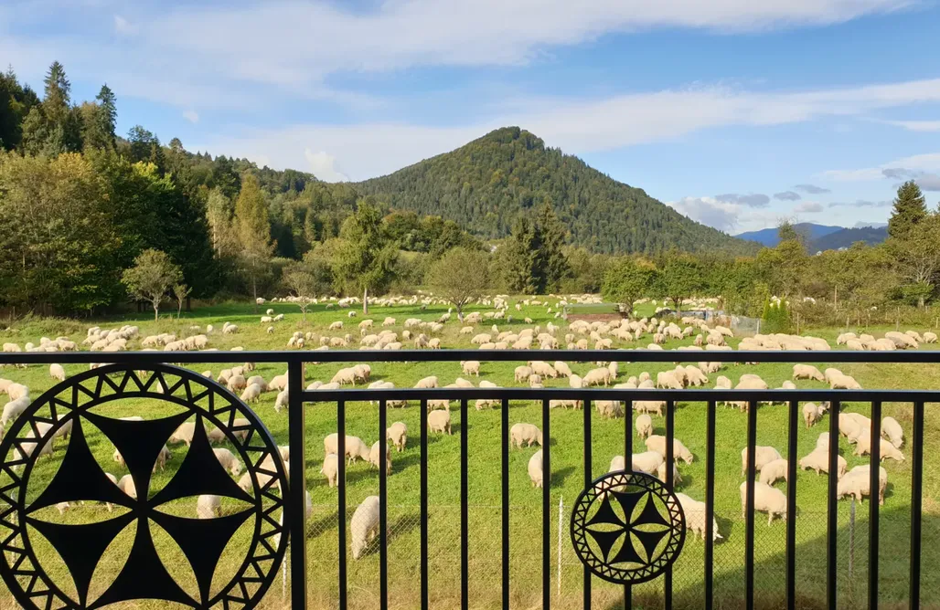 Hotel Szczawnica Domek Korona Pienin 3