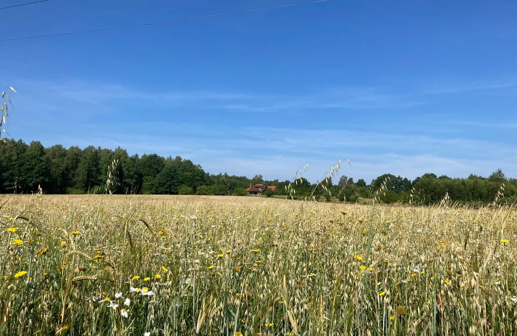 AlohaCamp Przyjaźń 2