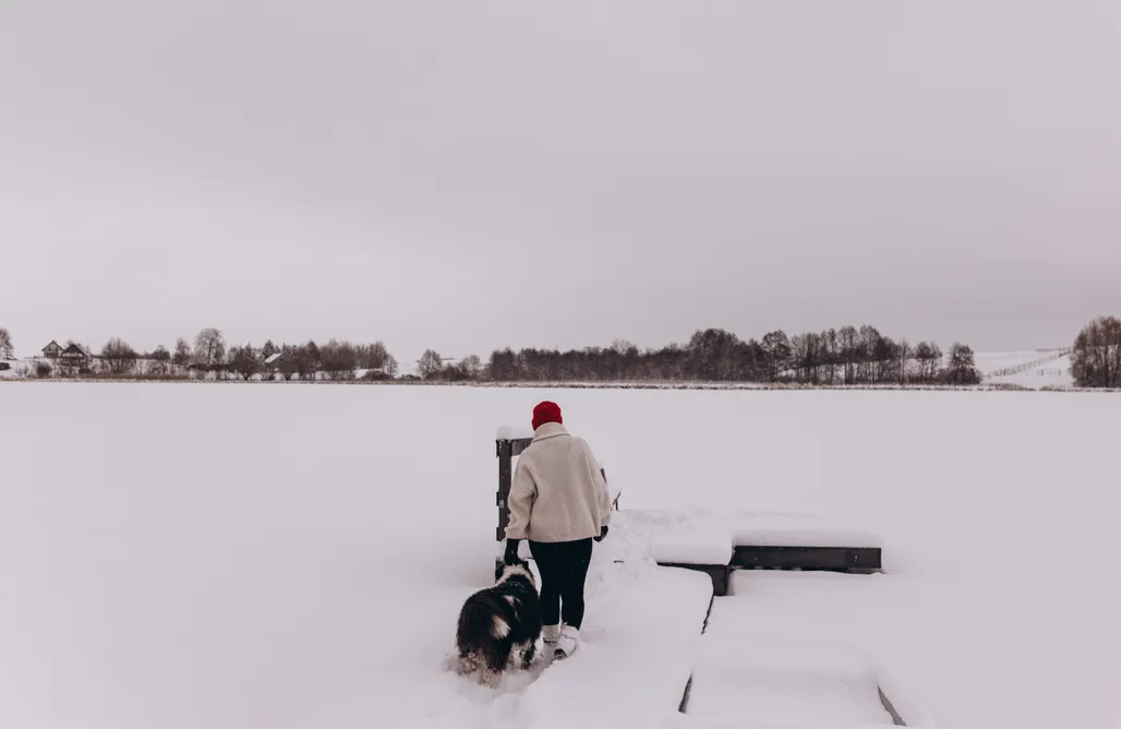 alojamientos AlohaCamp KuJezioru 5