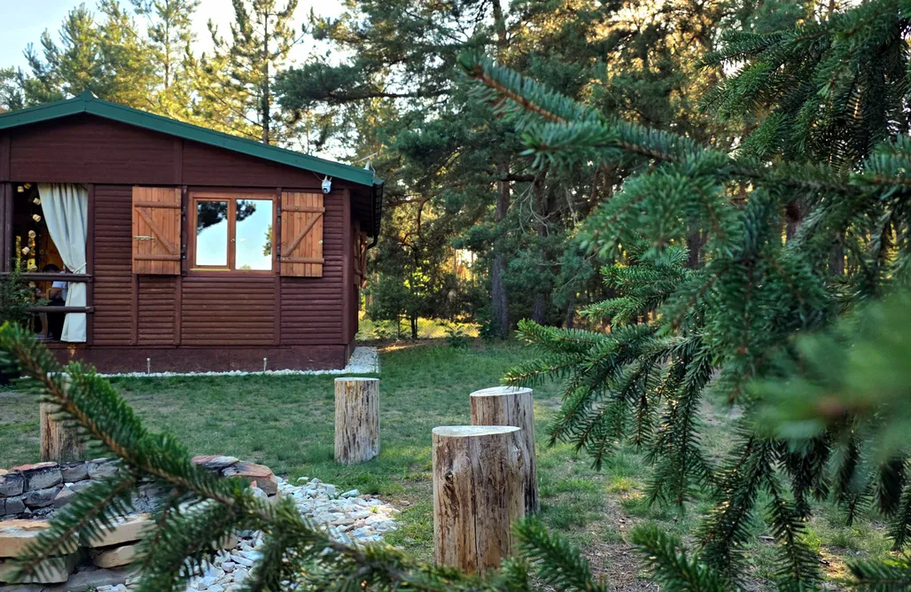 Czilówka. Entspannung am Waldrand. AlohaCamp